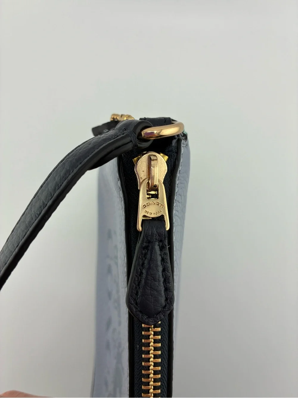 Coach wristlet pale